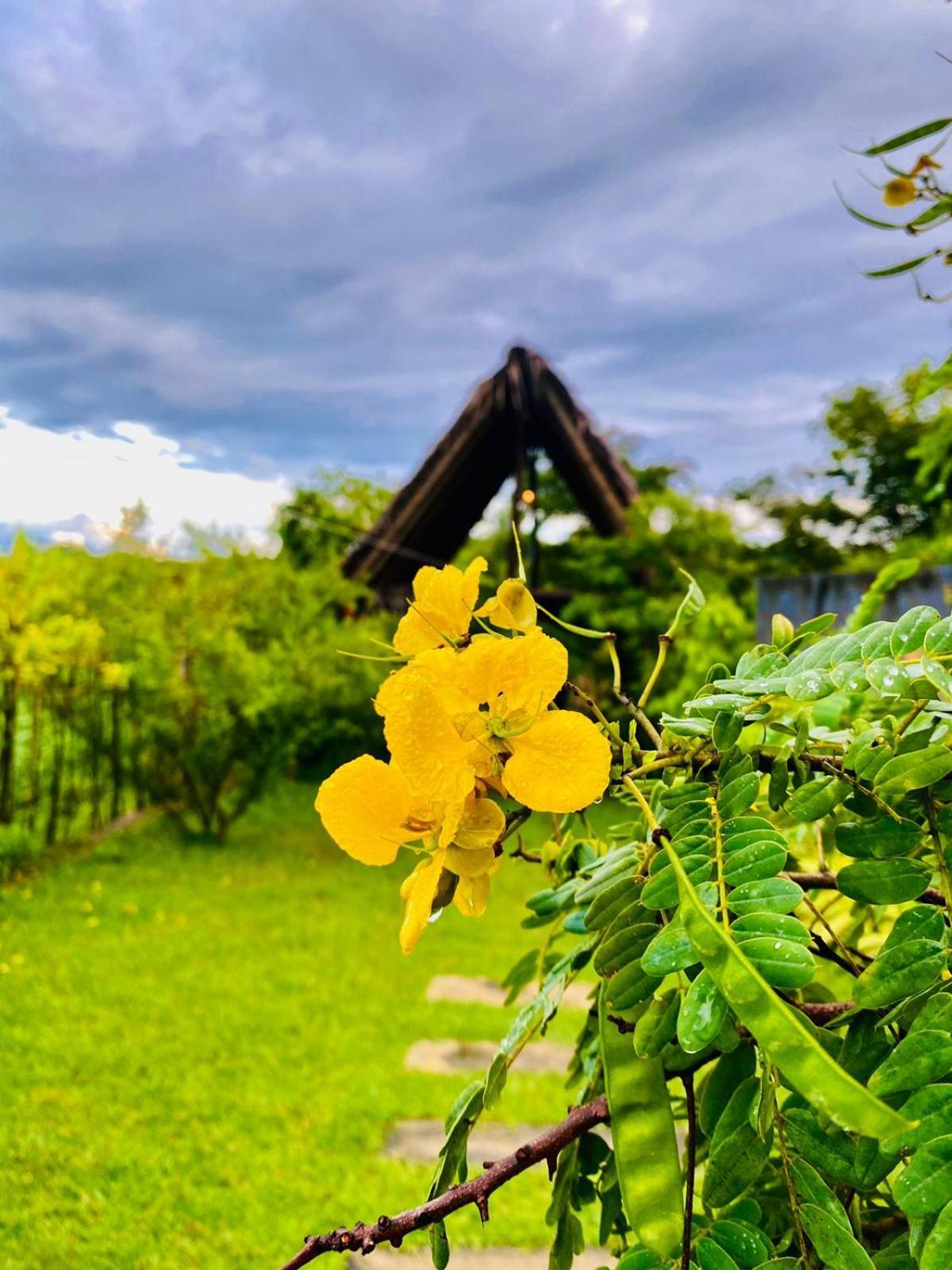 Kalametiya Bird Villa แทนกาลเล ภายนอก รูปภาพ